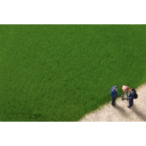 Auhagen 75615 - Trawa elektrostatyczna ciemna zieleń 4,5mm 50g