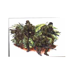 Dragon 3303 -  LRRP