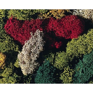 Faller 170730 - Mech, 5 różnych kolorów 80g