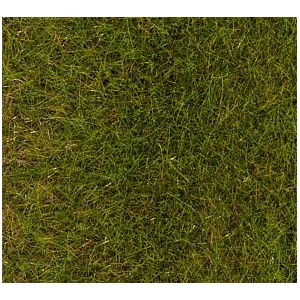 Faller 170771 - Posypka trawa wiosenna 6mm 30g