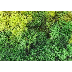 Faller 170729 - Mech wyspowy (2 kolory) 50g