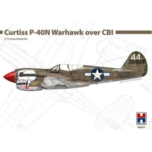 Hobby 2000 48002 - P-40N Warhawk over CBI