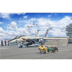 Italeri 1414 - F-14A Tomcat Recessed Line Panels 50th First Flight Anniversary