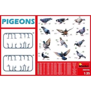 MiniArt 38036 - Pigeons