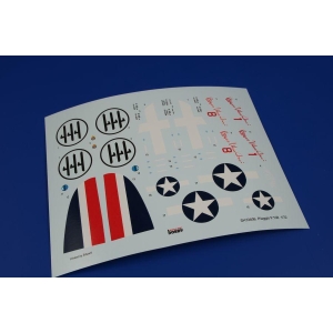 Special Hobby 72406 - Piaggio P.108B