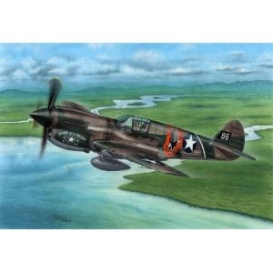 Special Hobby 72338 - P-40E Warhawk 'Claws and Teeth'
