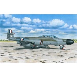 Special Hobby 72360 - A.W. Meteor NF MK.12