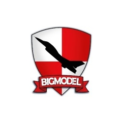BIGMODEL
