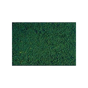 Heki 1613 - Posypka zieleń sosnowa 200ml