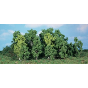 Heki 1992 - Drzewa liściaste 5-12cm  14 szt.