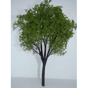 Drzewko Jesion 1 szt.