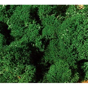 Heki 3211 - Mech ciemnozielony 30g