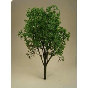 Drzewko Jesion 1 szt.