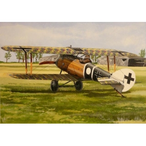 FLY 48005 - Roland D.VIa