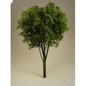 Drzewko Jesion 1 szt.