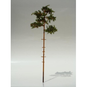 Drzewko Sosna 1 szt.