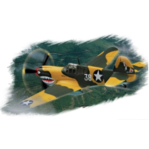 Hobby Boss 80250 - P-40E “ Kitty hawk ”