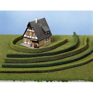 Heki 1185 - żywopłot ciemnozielony