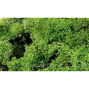 Heki 3210 - Mech jasno-zielony 30g