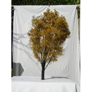 Drzewko Jesion 1 szt. wys. ~ 45cm