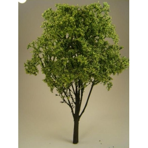 Drzewko Jesion 1 szt.