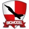 BIGMODEL