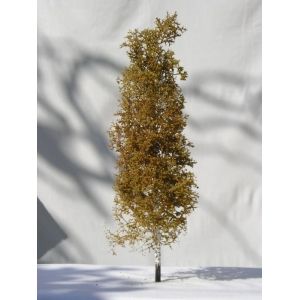 Drzewko Brzoza 1 szt. wys. ~ 35 cm