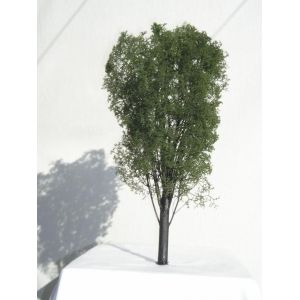 Drzewko Jesion 1 szt. wys. ~ 45cm